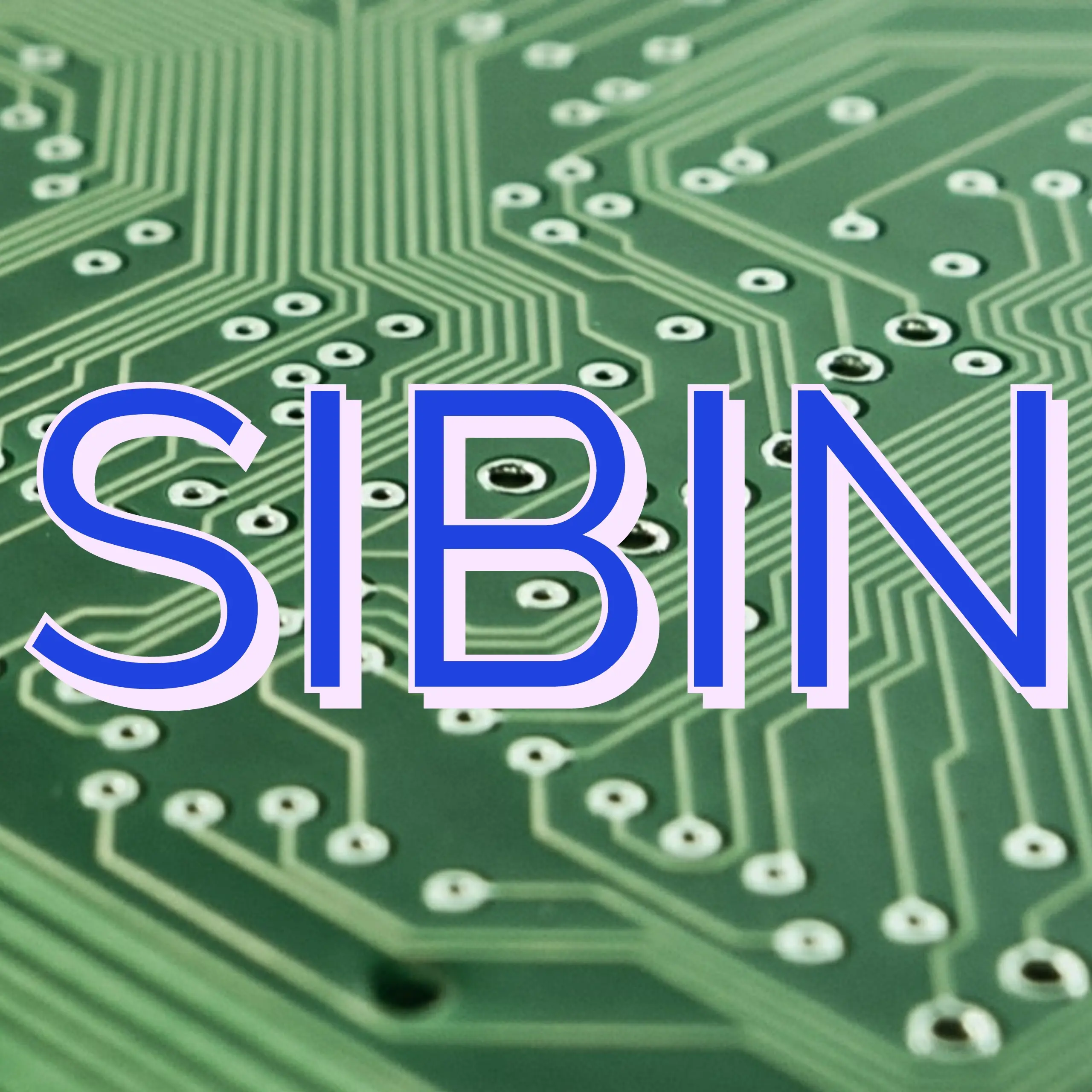 SIBIN Tech Solutions Logo